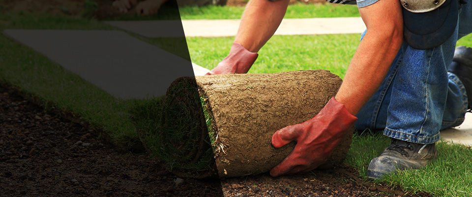 Madison Landscapers